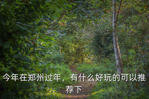 今年在鄭州過年，有什么好玩的可以推薦下