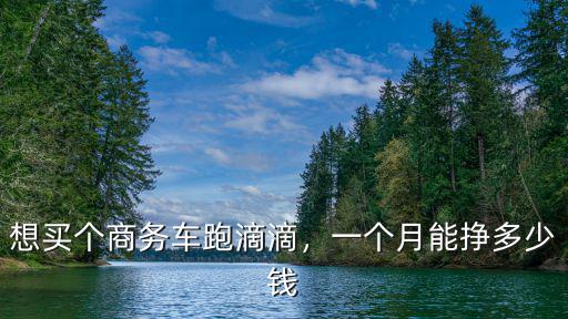 想買個商務車跑滴滴，一個月能掙多少錢