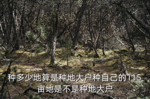 新鄉種植多少地算大戶,種多少地算是種地大戶