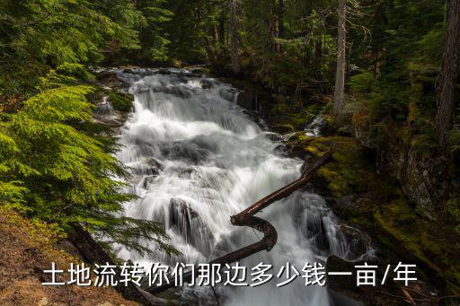 土地流轉你們那邊多少錢一畝/年