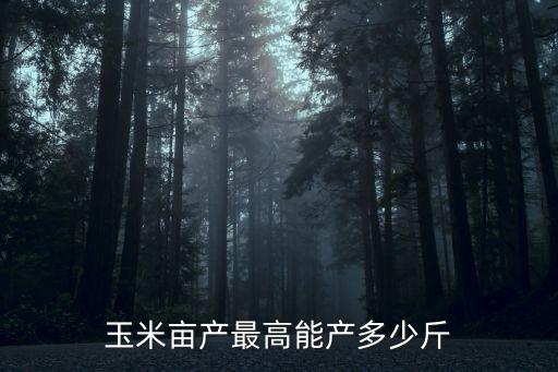 玉米畝產最高能產多少斤