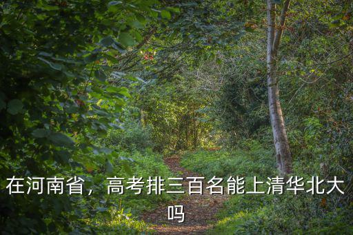 在河南省，高考排三百名能上清華北大嗎