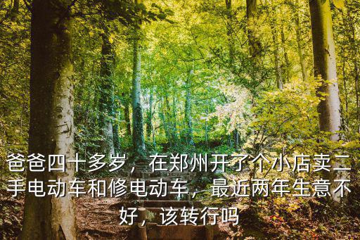 爸爸四十多歲，在鄭州開了個小店賣二手電動車和修電動車，最近兩年生意不好，該轉行嗎