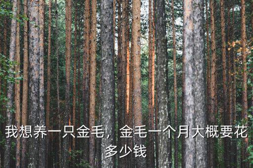 我想養(yǎng)一只金毛，金毛一個(gè)月大概要花多少錢