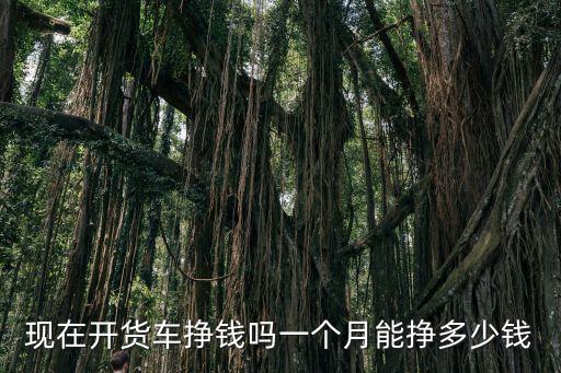 現(xiàn)在開貨車掙錢嗎一個月能掙多少錢