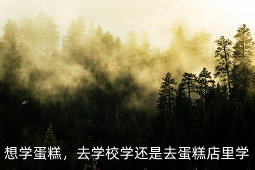 河南湯陰蛋糕糕點(diǎn)培訓(xùn)去哪里學(xué),去學(xué)校學(xué)還是去蛋糕店里學(xué)