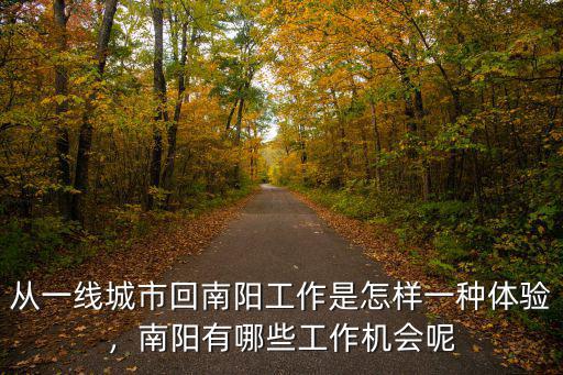 從一線城市回南陽工作是怎樣一種體驗，南陽有哪些工作機會呢