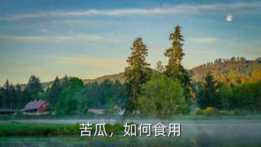 苦瓜，如何食用