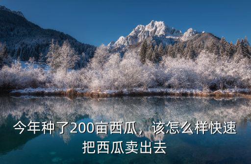 今年種了200畝西瓜，該怎么樣快速把西瓜賣出去