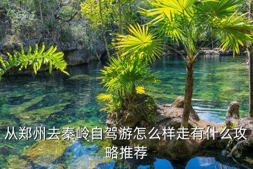 從鄭州到成都怎么走國道,從鄭州去秦嶺自駕游怎么樣走