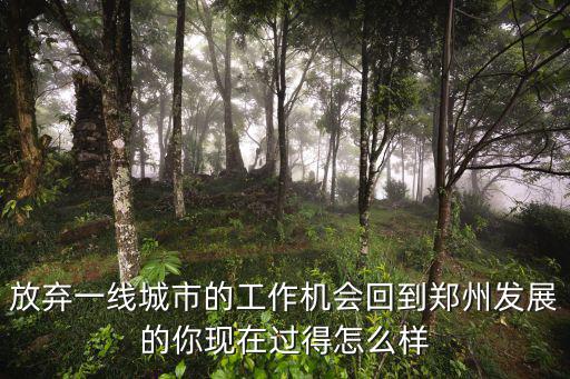 放棄一線城市的工作機會回到鄭州發展的你現在過得怎么樣