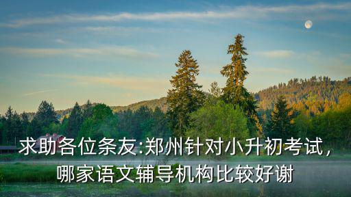 鄭州語文小升初輔導班哪里好,鄭州小升初語文培訓哪里好