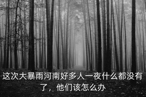 河南遭遇特大暴雨保險公司怎么辦,河南遇特大暴雨