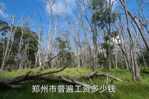 鄭州市普遍工資多少錢(qián)