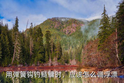 河南彈簧鉤怎么選,手竿彈簧鉤鰱鳙怎么打窩