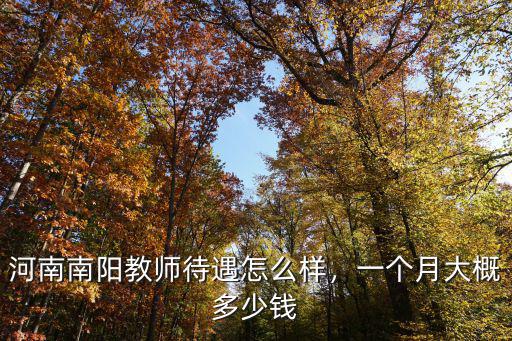 河南南陽教師待遇怎么樣，一個月大概多少錢