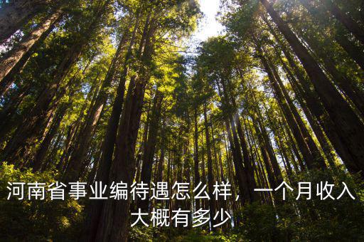 河南省事業(yè)編待遇怎么樣，一個(gè)月收入大概有多少