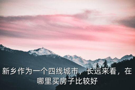 新鄉作為一個四線城市，長遠來看，在哪里買房子比較好