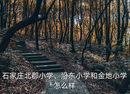 北郡小學怎么樣鄭州,石家莊北郡小學