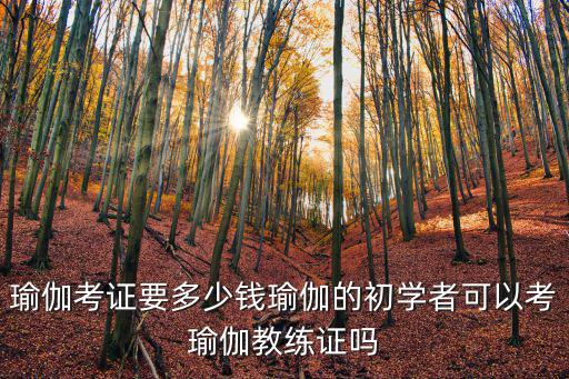 瑜伽考證要多少錢瑜伽的初學(xué)者可以考瑜伽教練證嗎