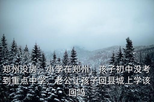 鄭州沒房，小學在鄭州，孩子初中沒考到重點中學，老公讓孩子回縣城上學該回嗎