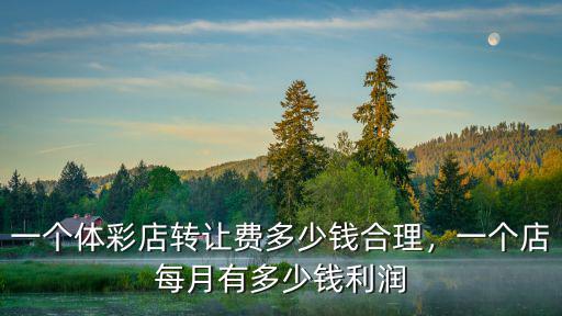 一個(gè)體彩店轉(zhuǎn)讓費(fèi)多少錢(qián)合理，一個(gè)店每月有多少錢(qián)利潤(rùn)