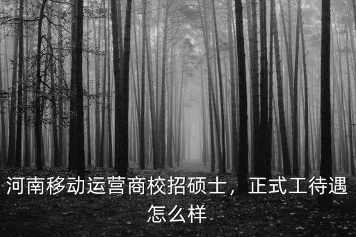 河南移動運營商校招碩士，正式工待遇怎么樣