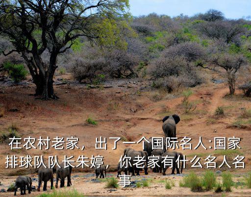 在農村老家，出了一個國際名人:國家排球隊隊長朱婷，你老家有什么名人名事