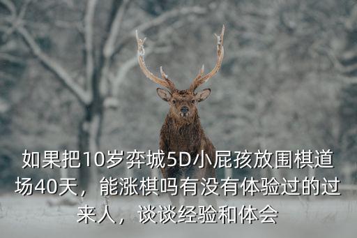 洛陽(yáng)圍棋道場(chǎng)怎么樣,洛陽(yáng)伊川怎么樣啊