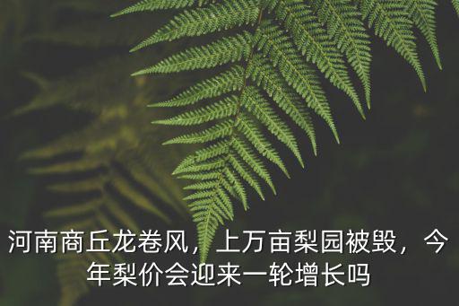 河南萬畝梨園在哪里,上萬畝梨園被毀