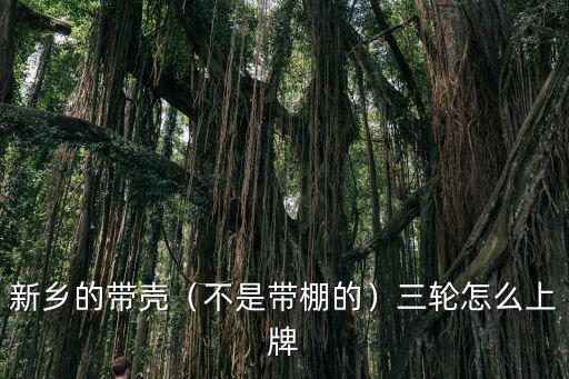 新鄉(xiāng)市哪里有出租三輪車的,電三輪不準(zhǔn)進(jìn)新鄉(xiāng)市有規(guī)定嗎