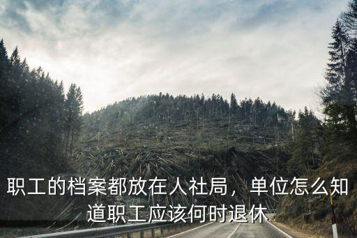 洛陽職工的檔案都放在哪里,職工的檔案都放在人社局