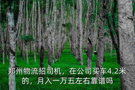 鄭州物流招司機，在公司買車4.2米的，月入一萬五左右靠譜嗎