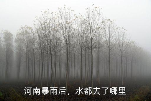 河南暴雨后，水都去了哪里