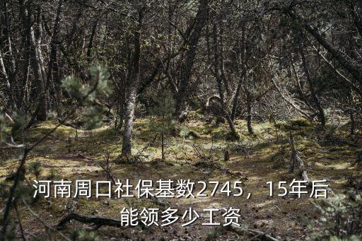 河南交夠15年社保 拿多少,河南周口社保基數2745