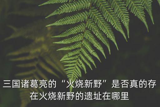 三國諸葛亮的“火燒新野”是否真的存在火燒新野的遺址在哪里