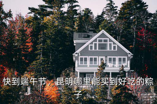 安陽(yáng)哪里有賣(mài)手工粽子的,手工粽子怎么賣(mài)出去