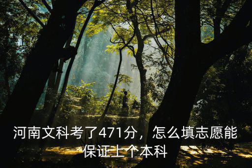 河南文科考多少分能上本科,河南文科考了471分