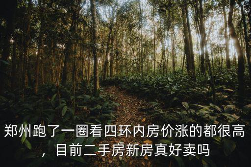 鄭州跑了一圈看四環內房價漲的都很高，目前二手房新房真好賣嗎