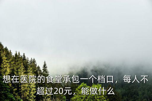 想在醫院的食堂承包一個檔口，每人不超過20元，能做什么