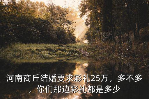 河南商丘結(jié)婚要求彩禮25萬(wàn)，多不多，你們那邊彩禮都是多少