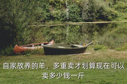 自家放養的羊，多重賣才劃算現在可以賣多少錢一斤