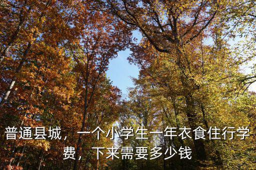 普通縣城，一個小學生一年衣食住行學費，下來需要多少錢