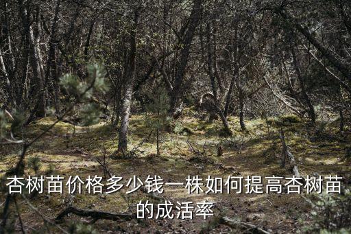 鶴壁杏樹苗多少錢一棵,杏樹苗價格多少錢一株