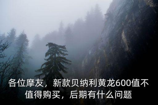 各位摩友，新款貝納利黃龍600值不值得購買，后期有什么問題