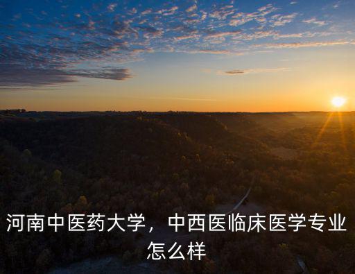 河南中醫藥大學，中西醫臨床醫學專業怎么樣