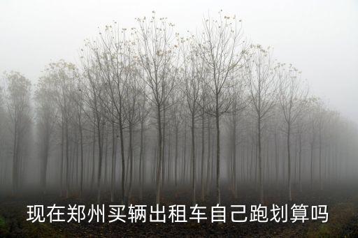 現在鄭州買輛出租車自己跑劃算嗎