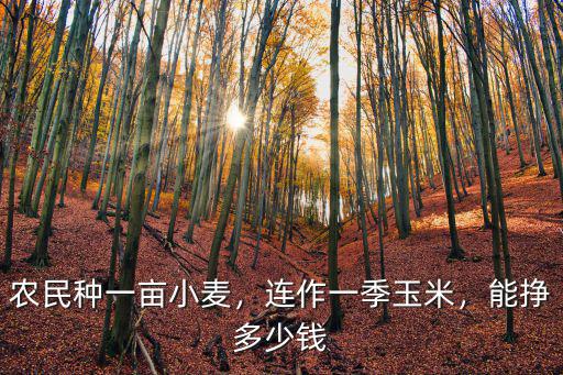 農民種一畝小麥，連作一季玉米，能掙多少錢
