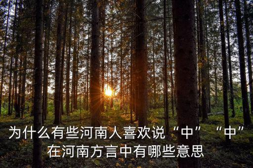為什么有些河南人喜歡說“中”“中”在河南方言中有哪些意思