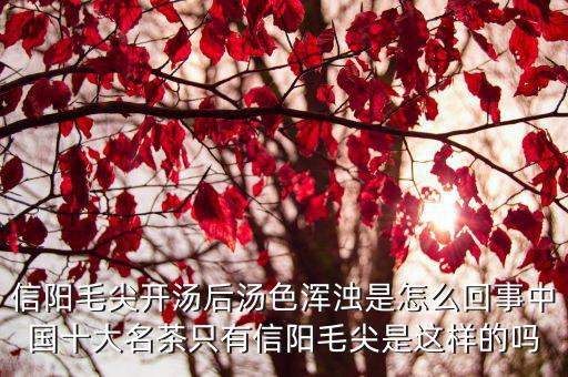 信陽毛尖開湯后湯色渾濁是怎么回事中國十大名茶只有信陽毛尖是這樣的嗎